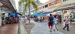 57A NEW UPPER CHANGI ROAD (D16), Shop House #559805661